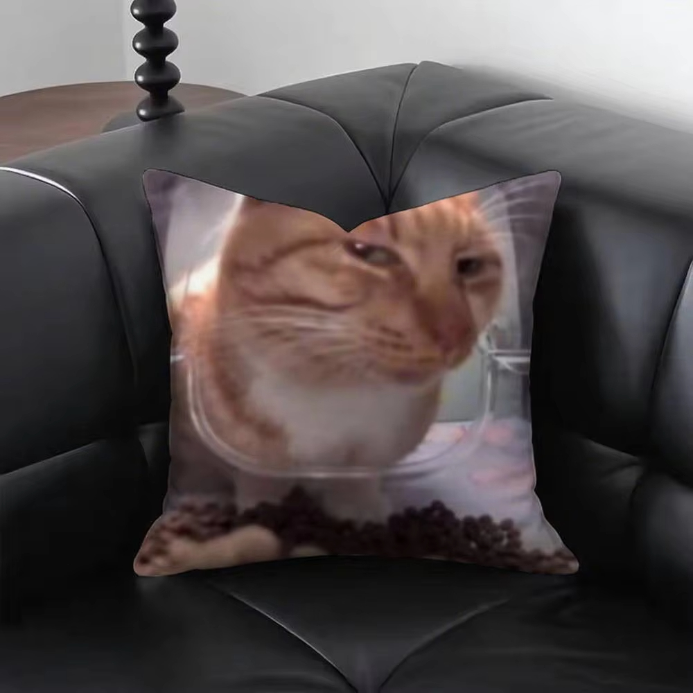 Funny Cat M-Meme Pillow Cover  - Home Decor Emoji recension och pris