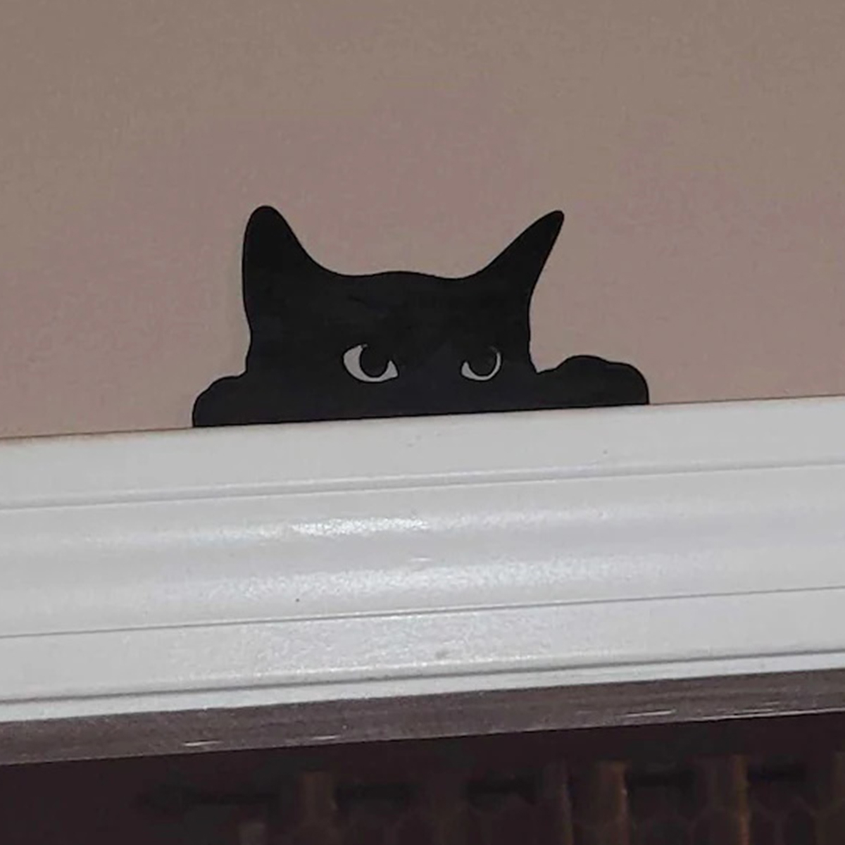 1 Pc Cat Looking Up Door Toppe - Home Decor Cat recension och pris