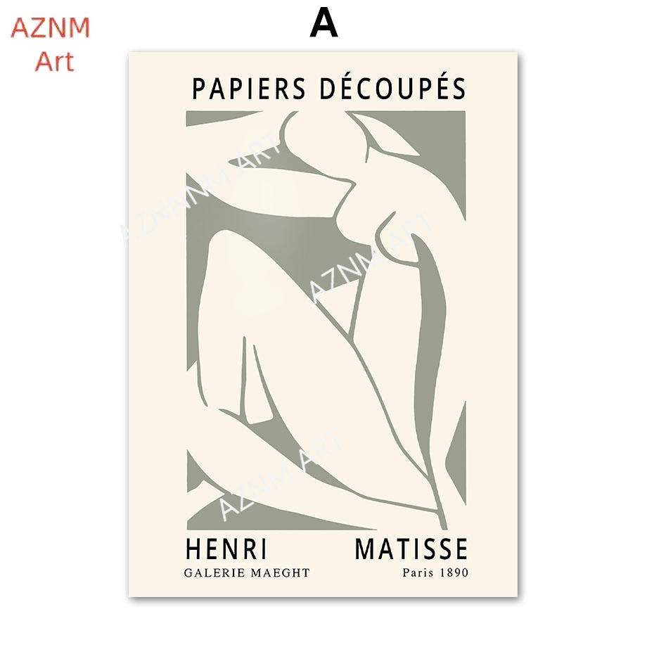 Abstract Matisse Lines Coral L - Home Decor Japandi recension och pris