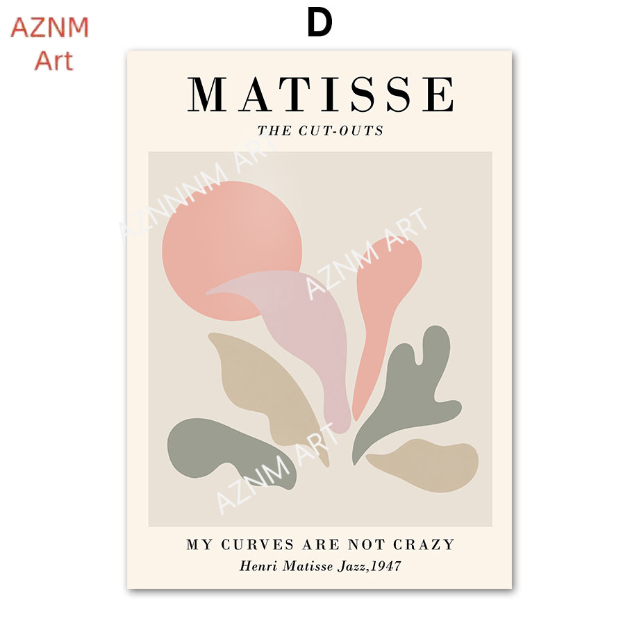 Abstract Matisse Lines Coral L - Home Decor Japandi recension och pris